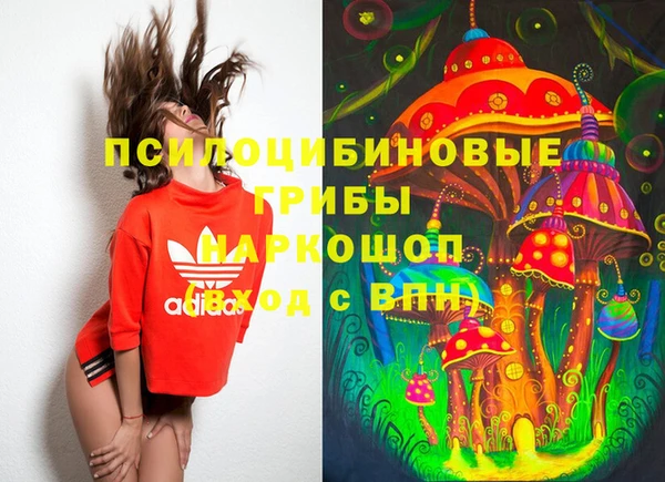 сатива Алзамай